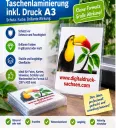 Laminierung A3 250 mic